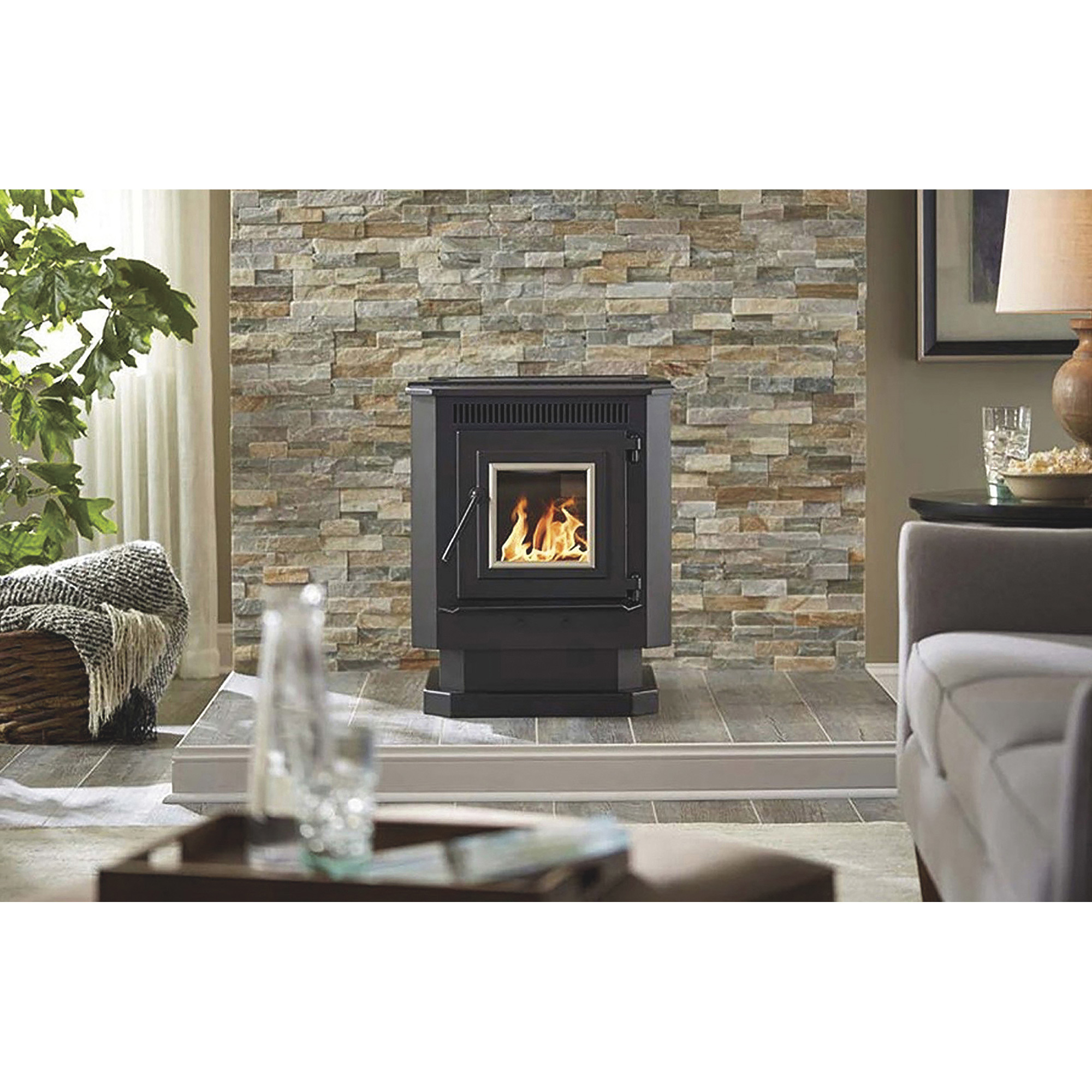 Pellet stove in living room